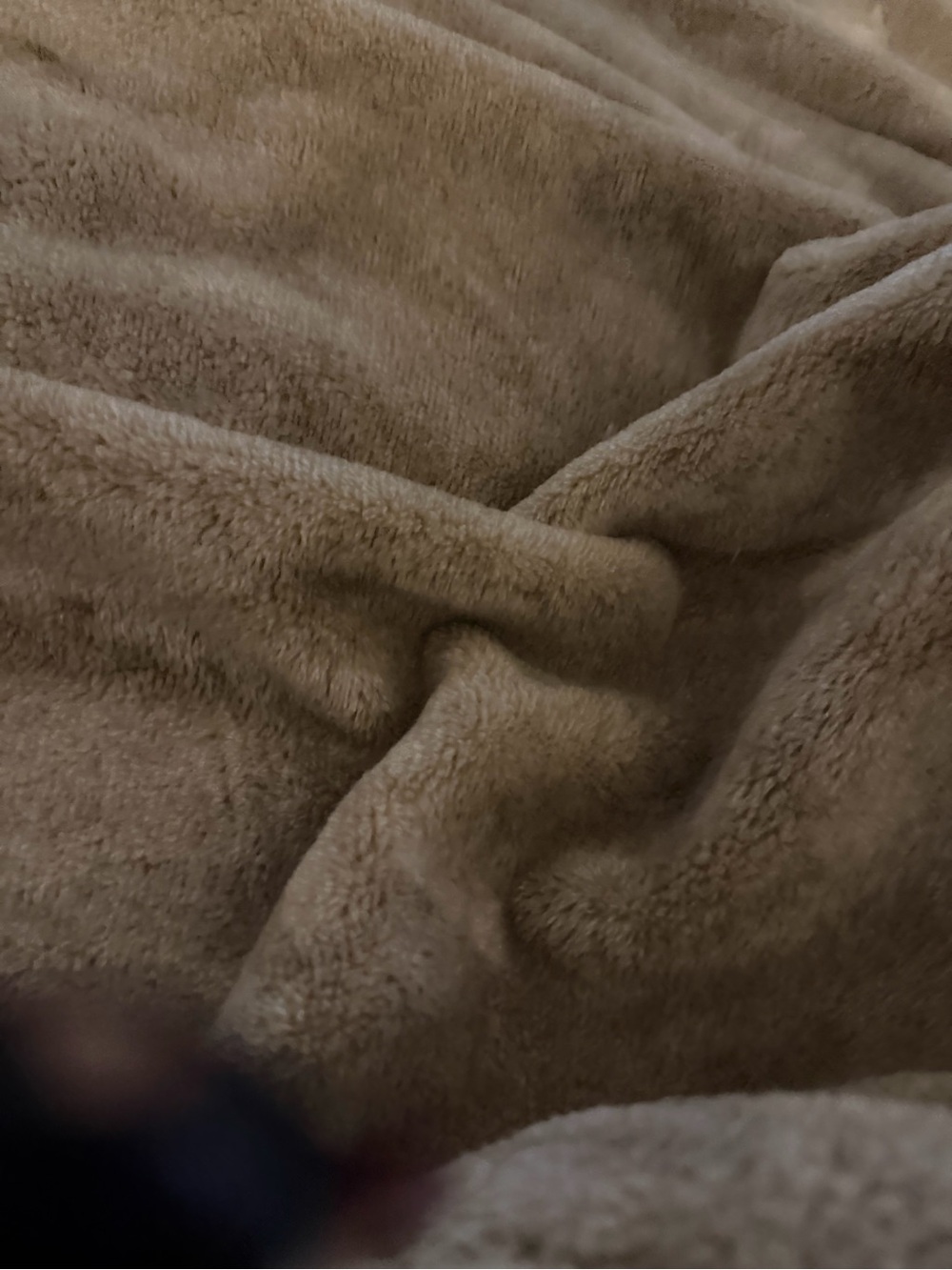 Plush Microfiber Throw Blanket - Brown
